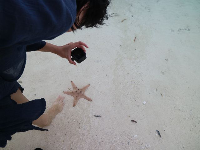 Virgin Island