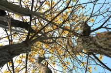 剑英公园-梅州-懟懟