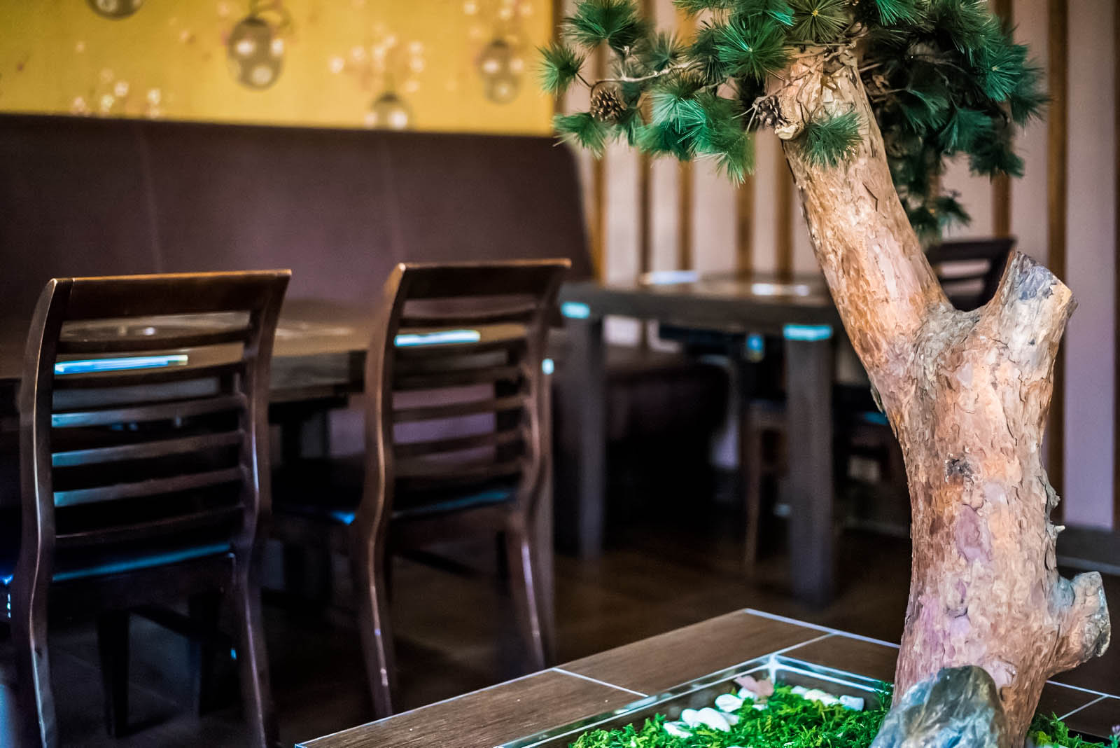 Hanabi Sushi House餐厅图片