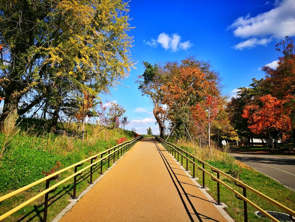 秋游北海道之旭川