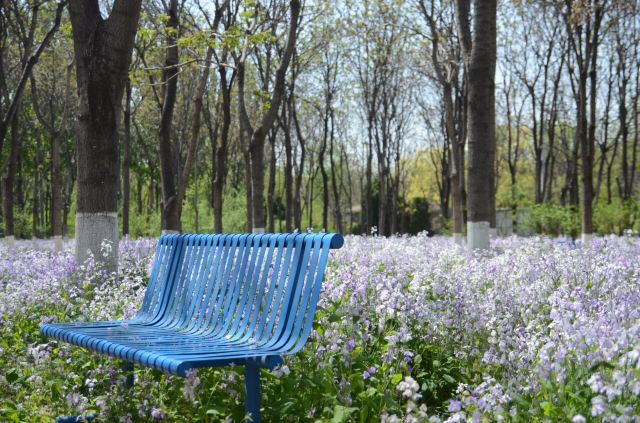 Jiangfu Park