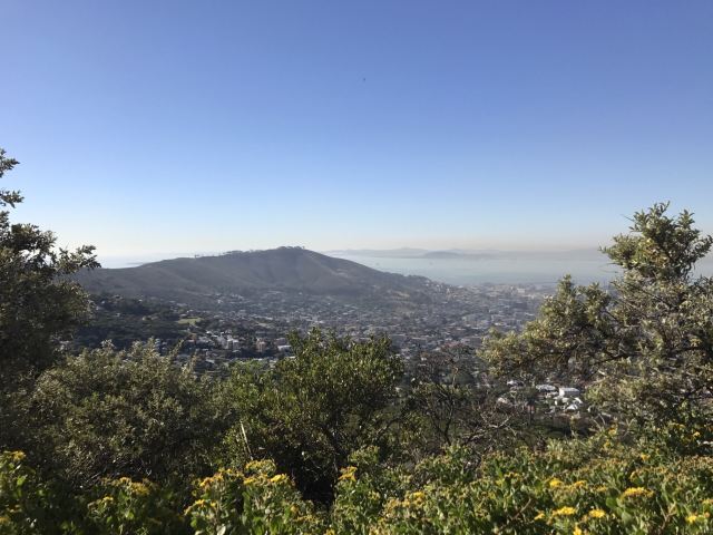 Table Mountain