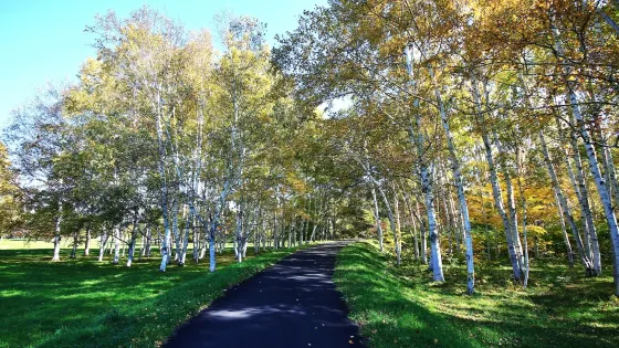 北海道立真駒内公園