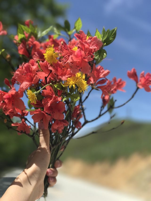 남산목장