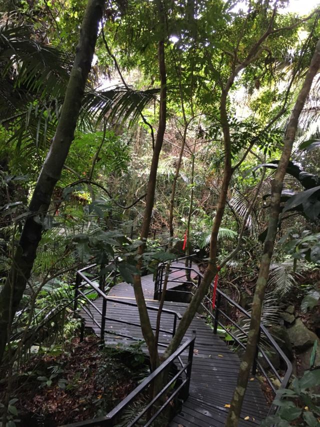 Yanoda Rainforest Cultural Tourism Zone