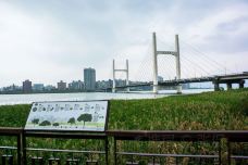 淡水河-新北-doris圈圈