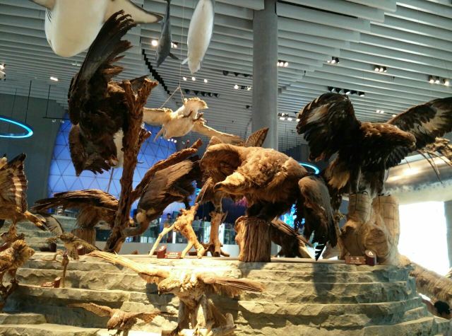 Shanghai Natural History Museum