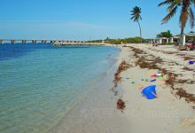 迈阿密旅游图片-佛罗里达自驾10日游
