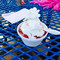 Dairy Freeze