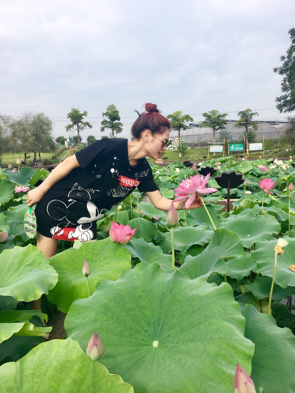 十里荷香名字取的真好