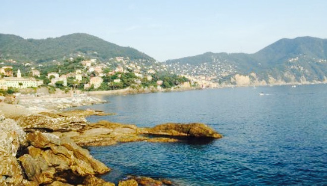 Eraora summer bar餐厅图片