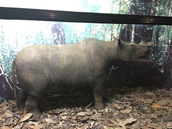 Sabah Museum