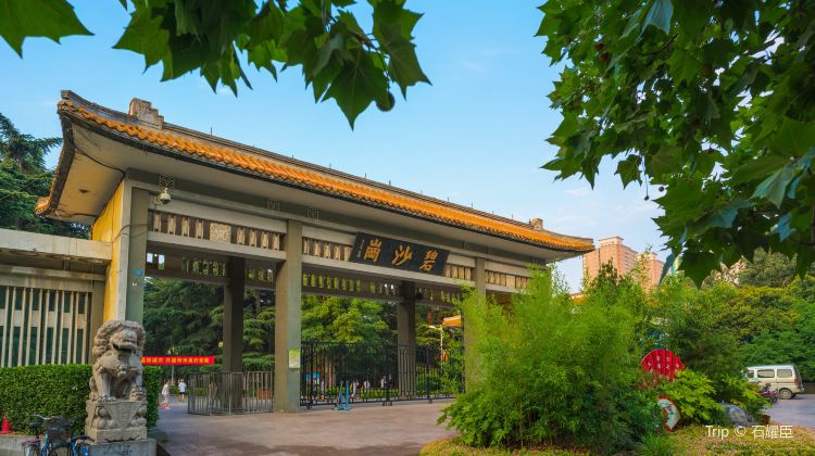 Bisha Hillock Park Tickets Deals Reviews Family - 