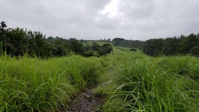 Sangumburi Crater
