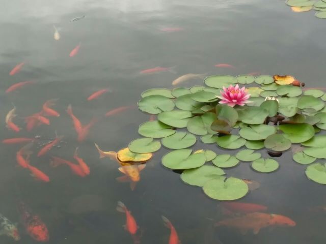 Baimajian Longchi Scenic Area