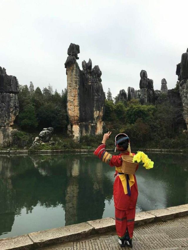 Stone Forest
