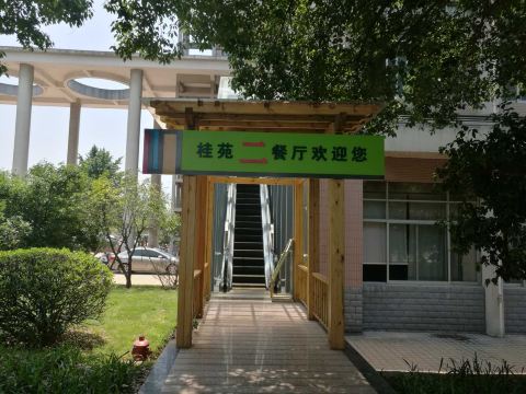 Gallery 4