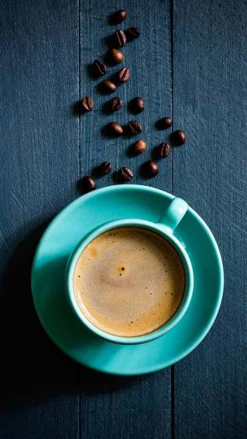 麦当劳(石家庄天山大街店)