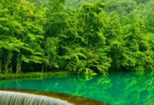 良品铺子(中医院店)购物图片