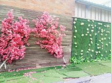 千龙湖生态旅游度假区-长沙-YoYo_4X1Y8A9R