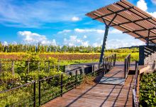 华发水郡省级湿地公园景点图片