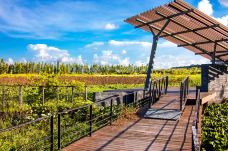 华发水郡省级湿地公园-珠海-doris圈圈