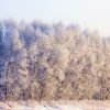 中国最北之地、也是最冷、最静、白天日照时间最短---黑龙江漠河、你想了解吗？