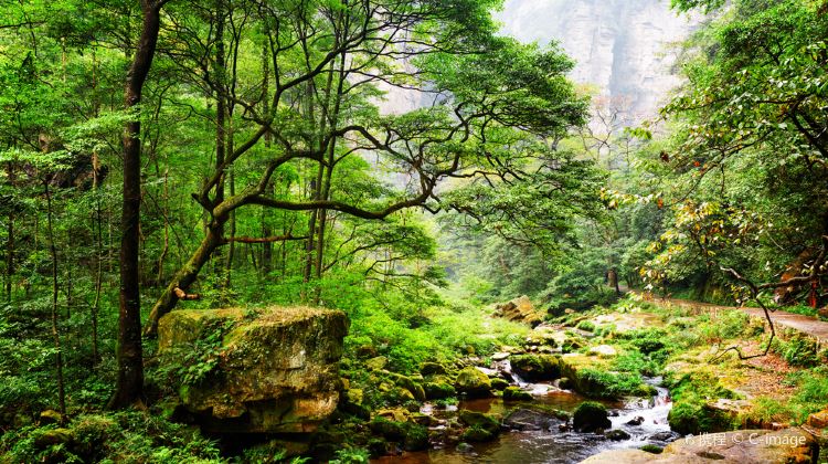 6-Day Hunan Private Tour· Zhangjiajie, Fenghuang Ancient Town, Furong Town, Tianzi Mountain, Baofeng Lake