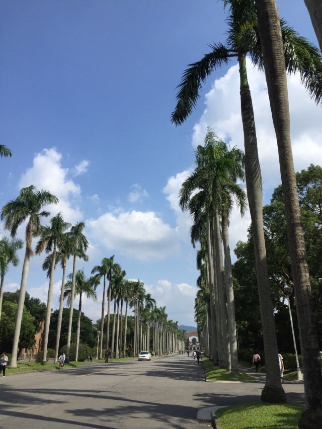 Taiwan University