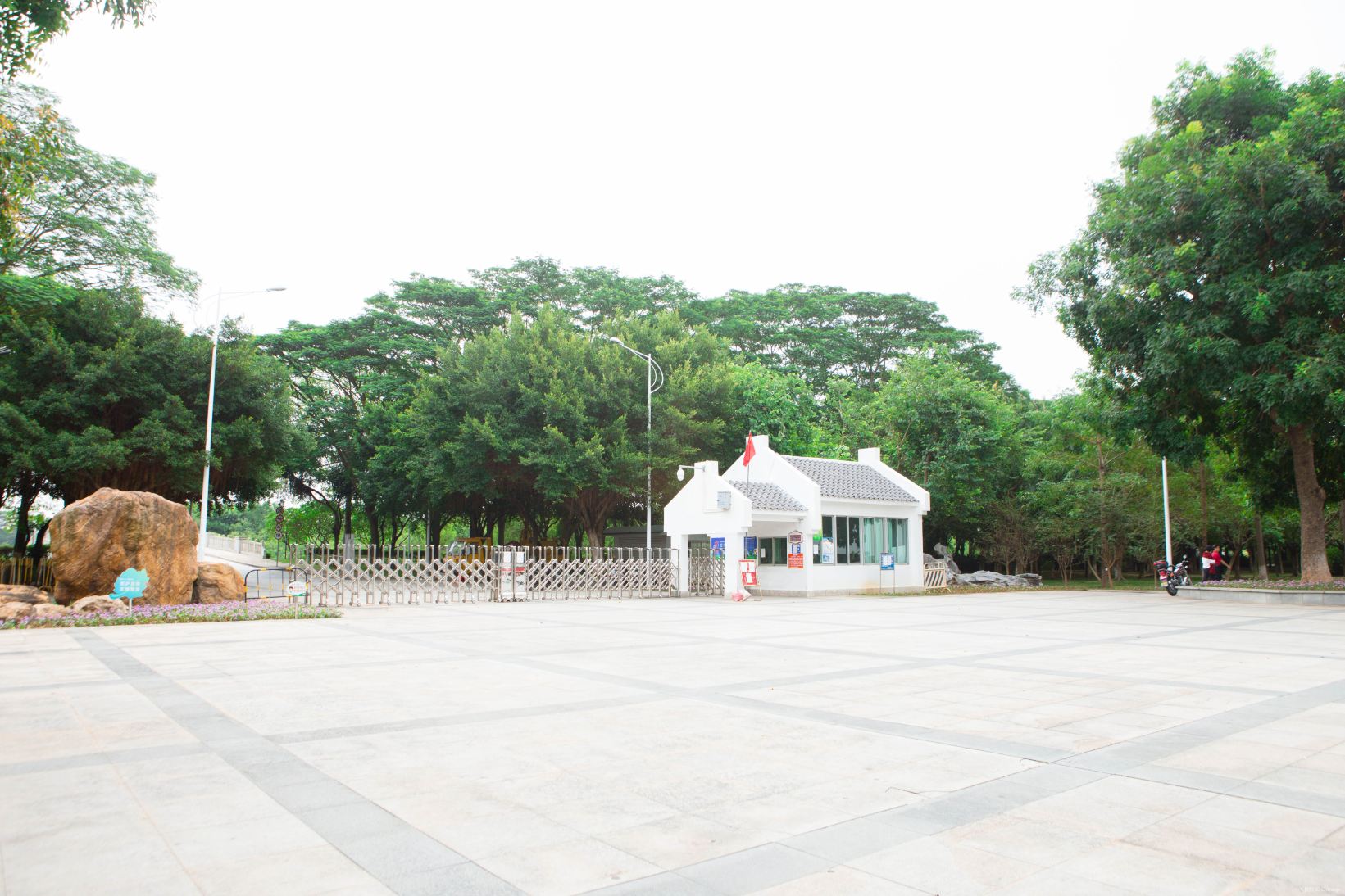 Gallery 2