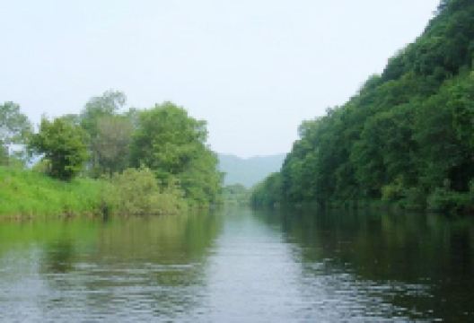 霍伦河景点图片