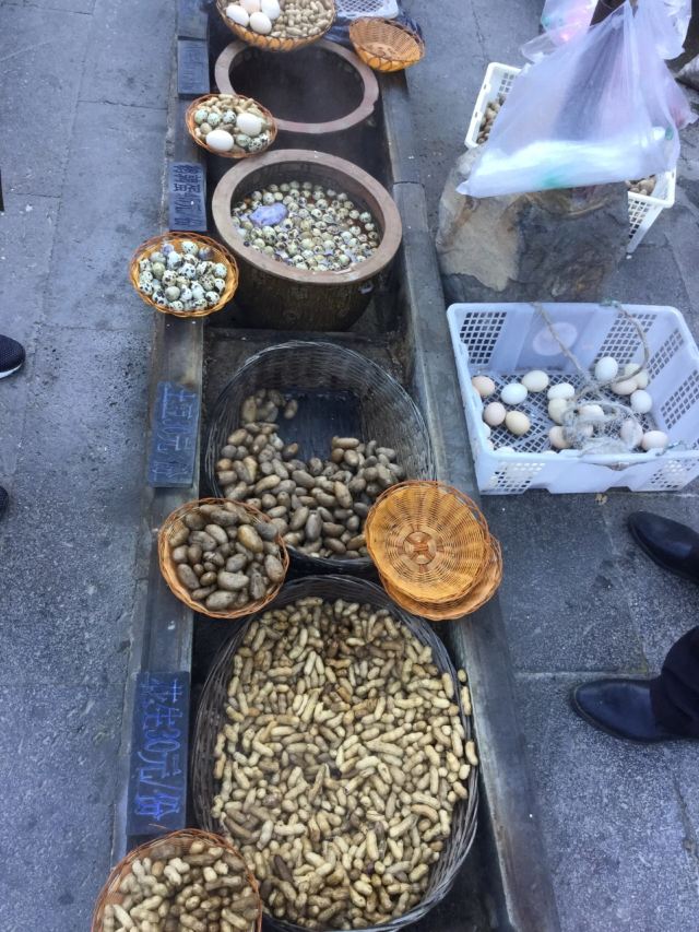 熱海大滾鍋