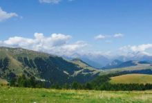 Agriturismo Malga Valfontane美食图片