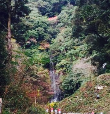 Fukamatsuya餐厅图片