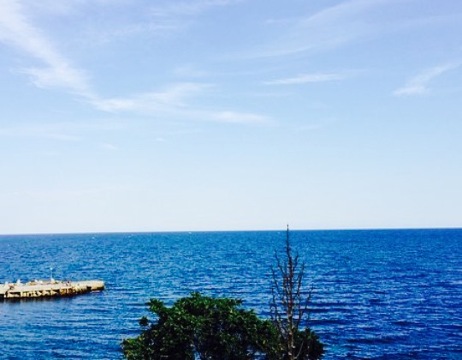 Perla Grill & Seafood餐厅图片