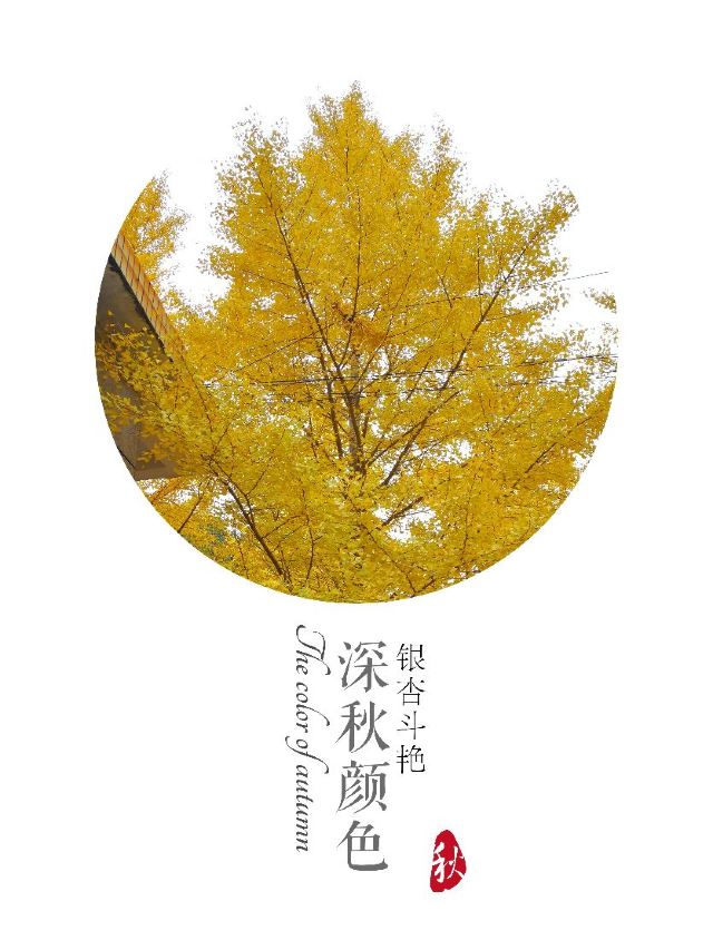 마오쯔펑 린창