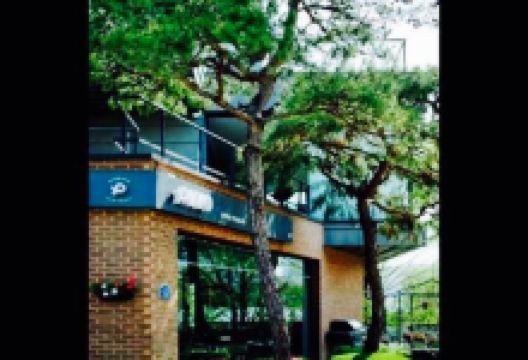 Bistro Italiano Pino美食图片