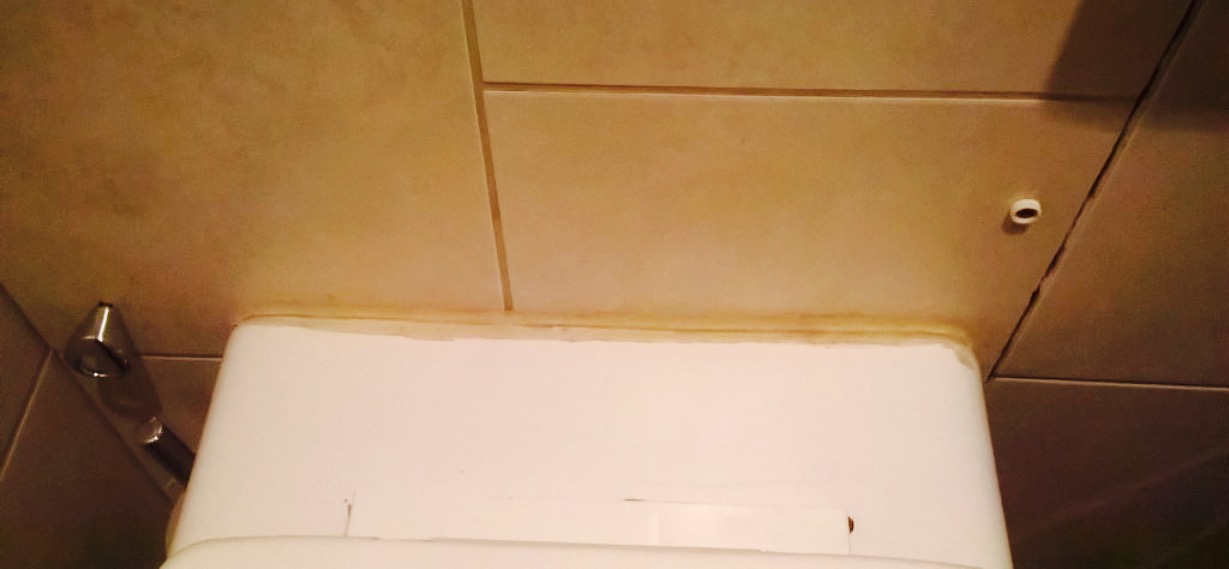 Amici Ristorante餐厅图片