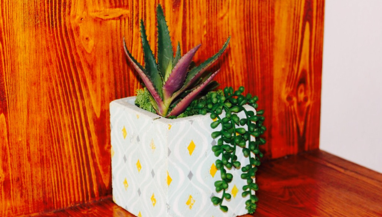 Ca'n Moncho餐厅图片