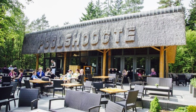 Poolshoogte