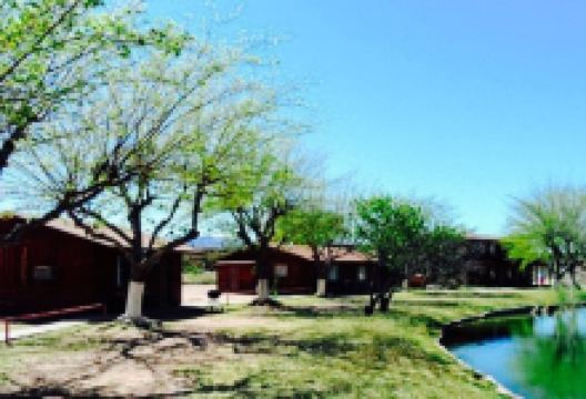 Roosevelt Lake Resort美食图片