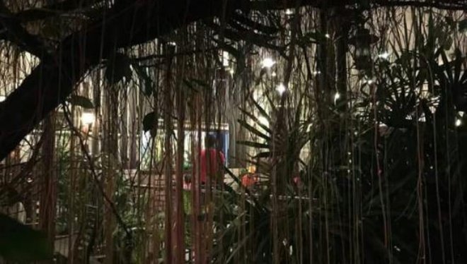 De Pauh Garden Restaurant & Cafe餐厅图片