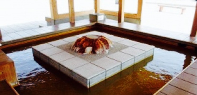 Kawa No Eki Funagoya Koibitaru Onsen Kan餐厅图片