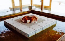 Kawa No Eki Funagoya Koibitaru Onsen Kan餐厅图片