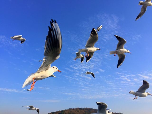 원두저(위안터우주)