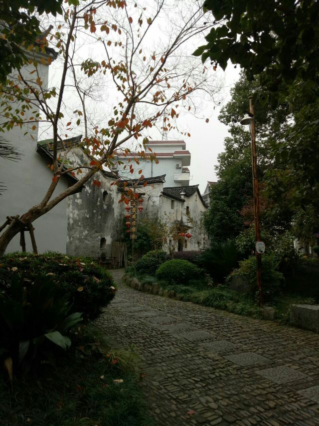 선아오촌