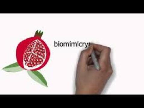 Fuji Japanese Restaurant餐厅图片