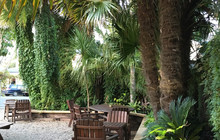 Hone's Garden餐厅图片