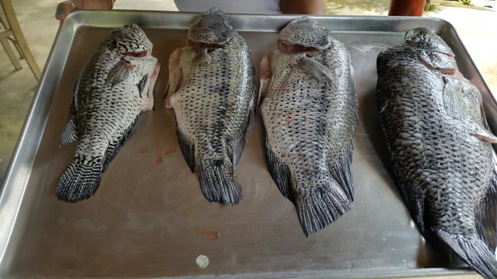 Villas Mombacho餐厅图片