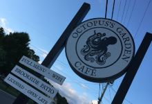 The Octopus' Garden Cafe美食图片